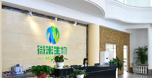 易腐垃圾處理 易腐垃圾處理