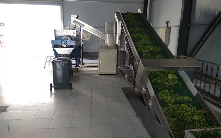 有機垃圾處理系統 有機垃圾處理系統