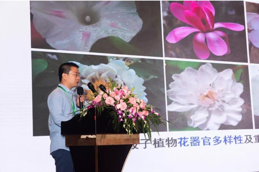 循環經濟 循環經濟