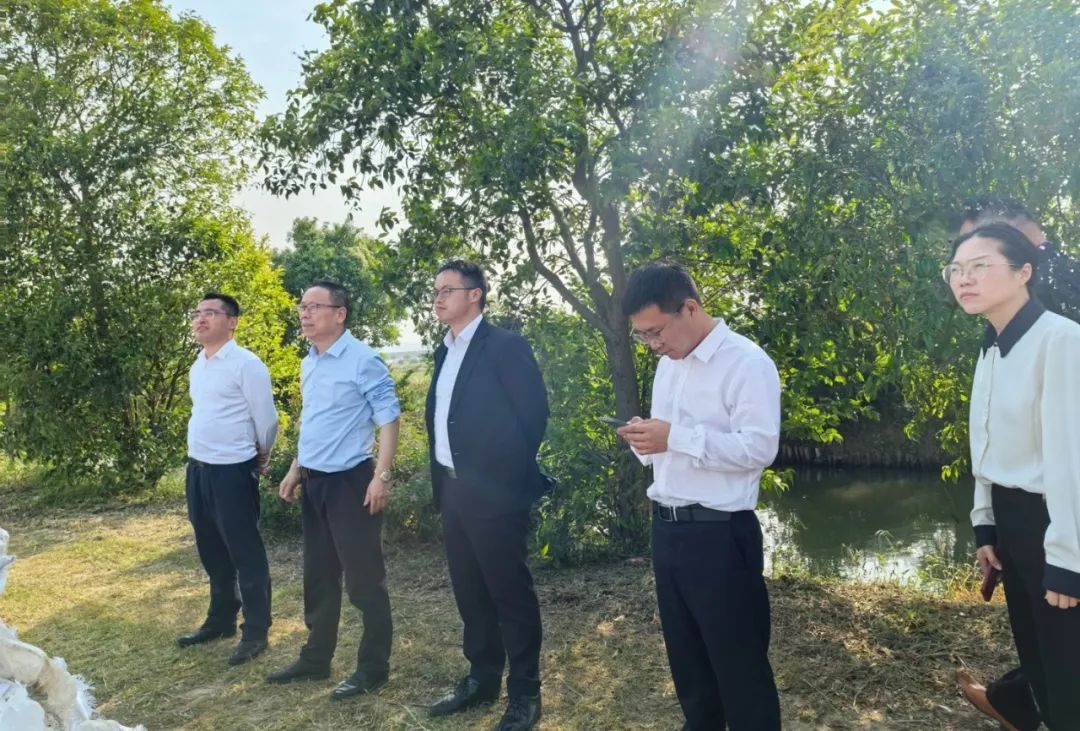 1715561117860965.jpg 04.jpg